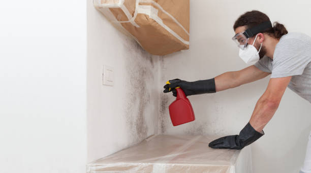 Professional Basement Mold Remediation technician working in Oxford, NC