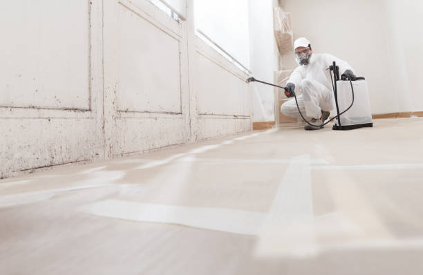 24/7 Emergency Basement Mold Remediation experts in Oxford, NC